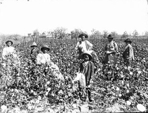 1890�N��̖ȉԔ_��œ������l����