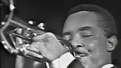 �z�o�[�g�E�h�b�g�\��