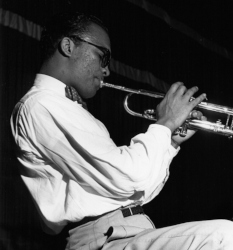 �n���[�h�E�}�M�[