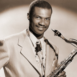 ���C���h�E�r���E���[�A